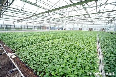 大荔農產品產地行 “從農田到餐桌”，品質看得見